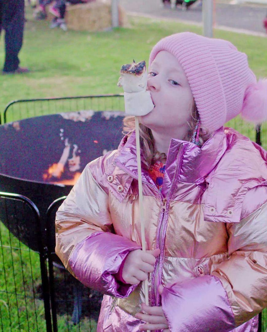 Marshmallow Roasting