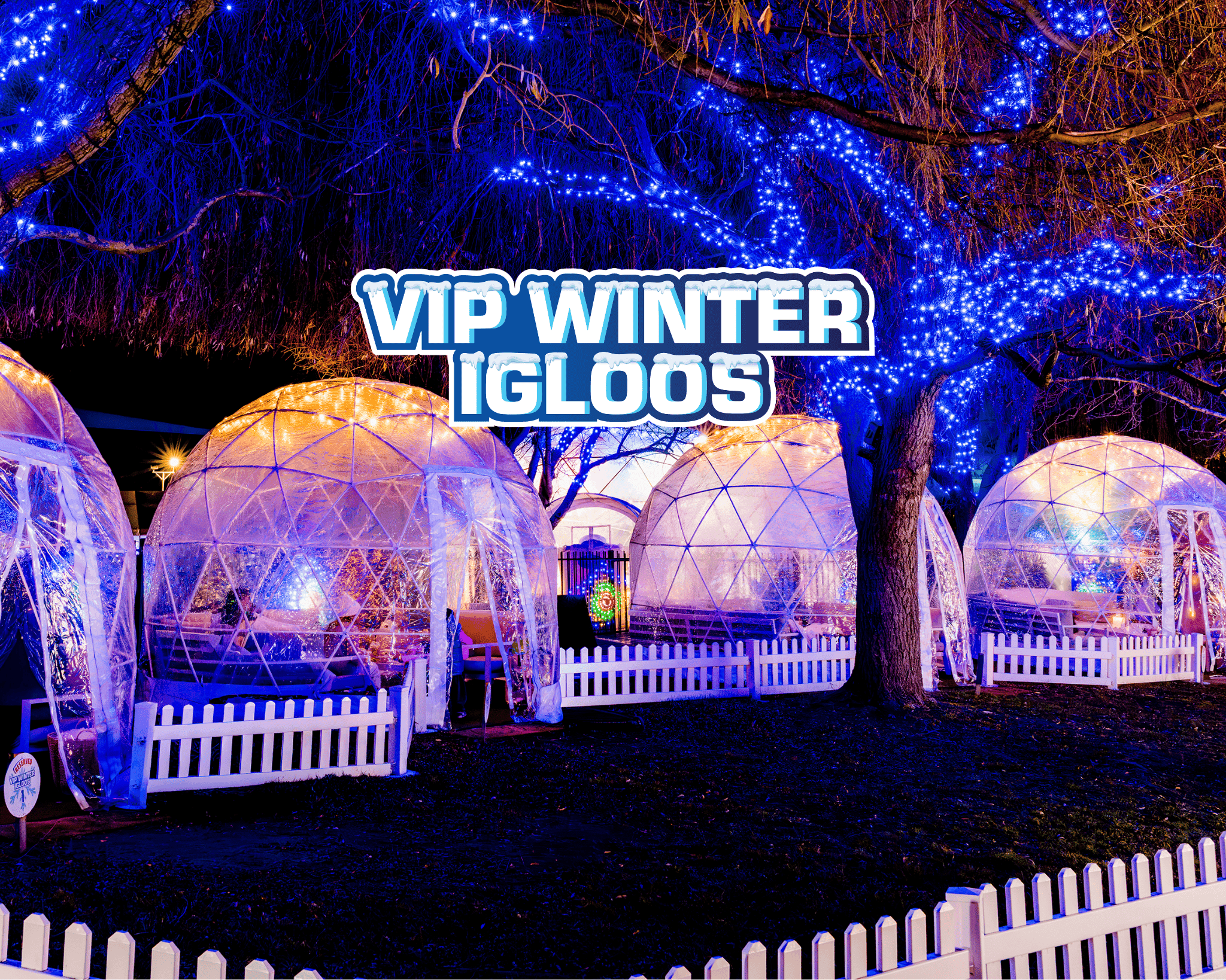 VIP Igloos for hire!  background