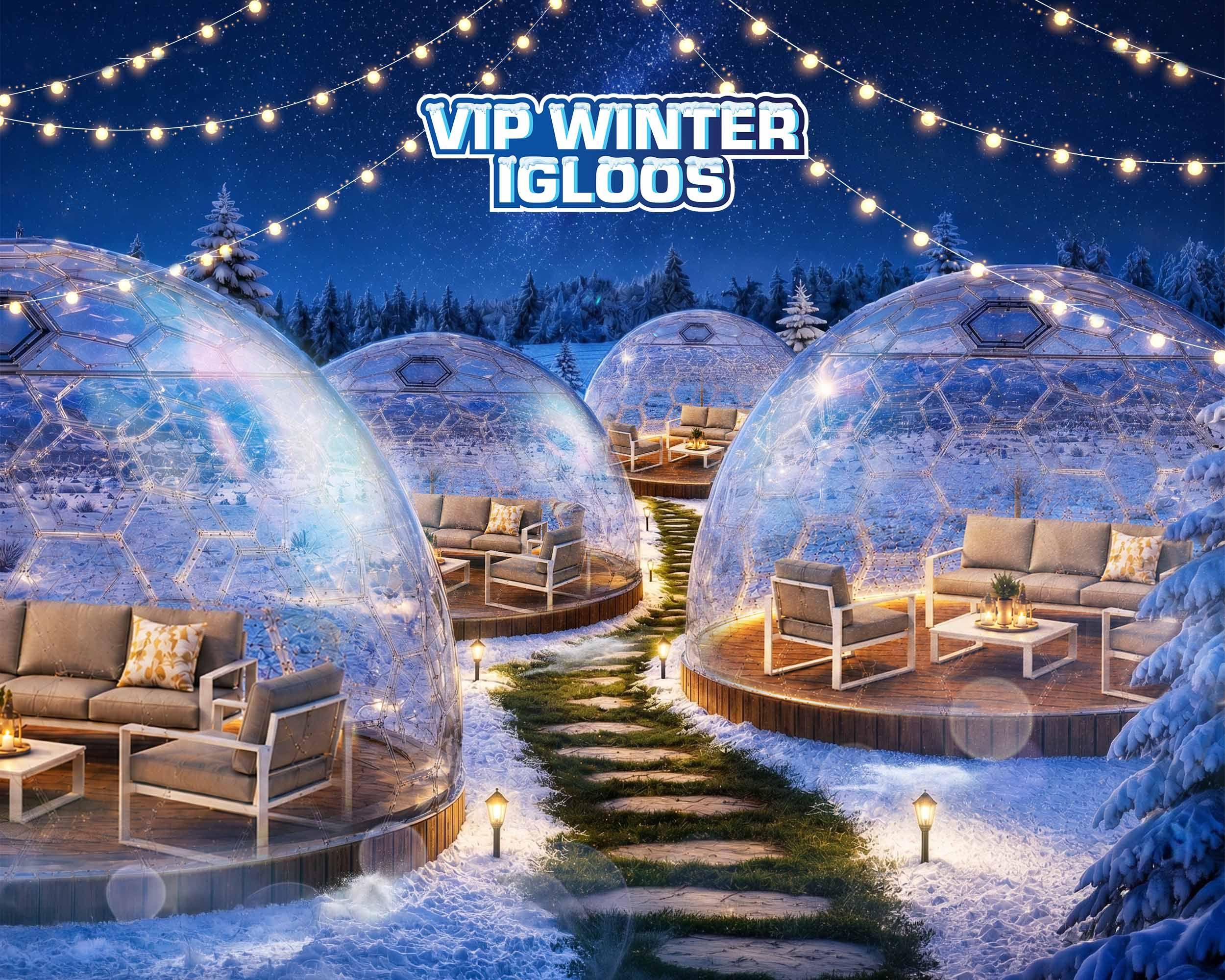 VIP Igloos for hire!  background