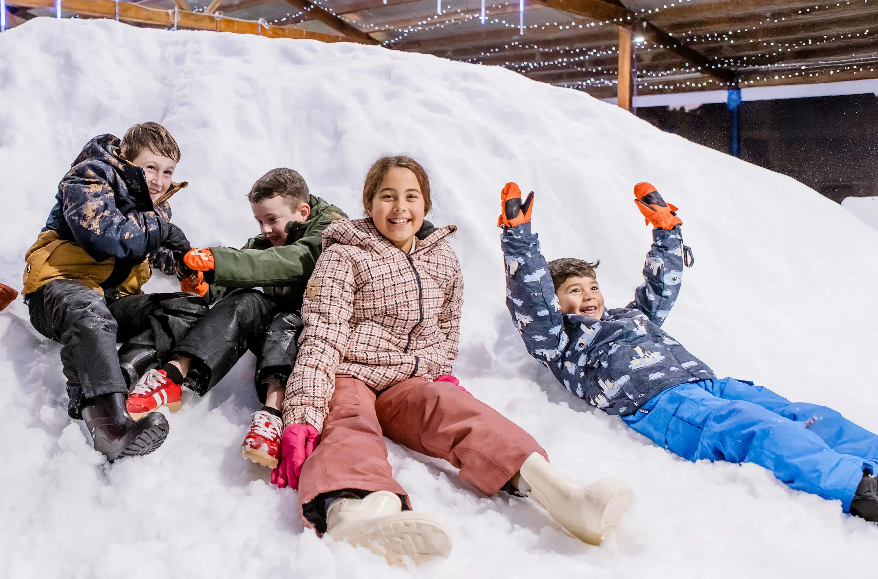 Go with the snow! Play in our epic snow zone background