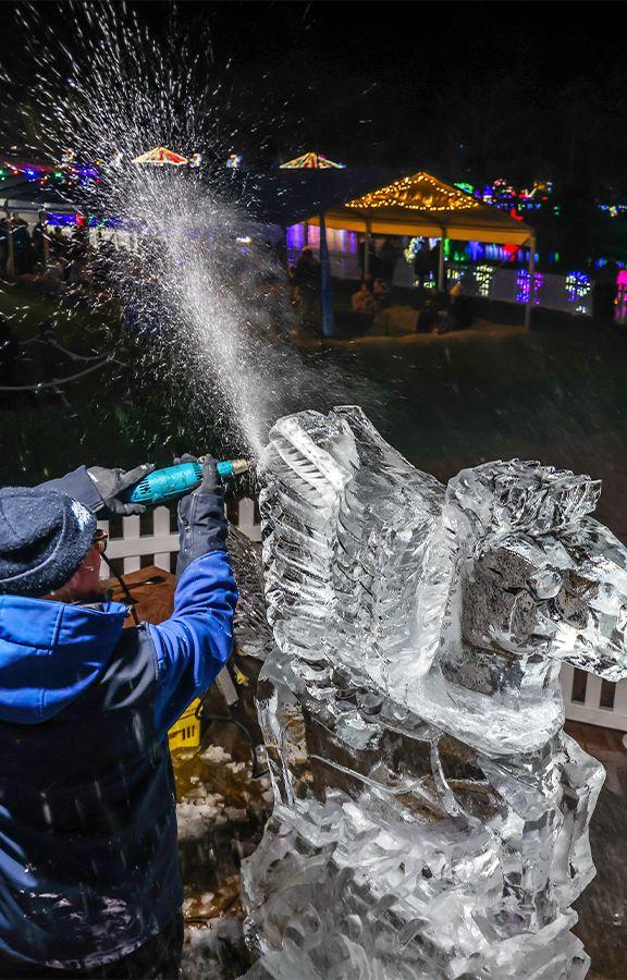 Ice Sculpting