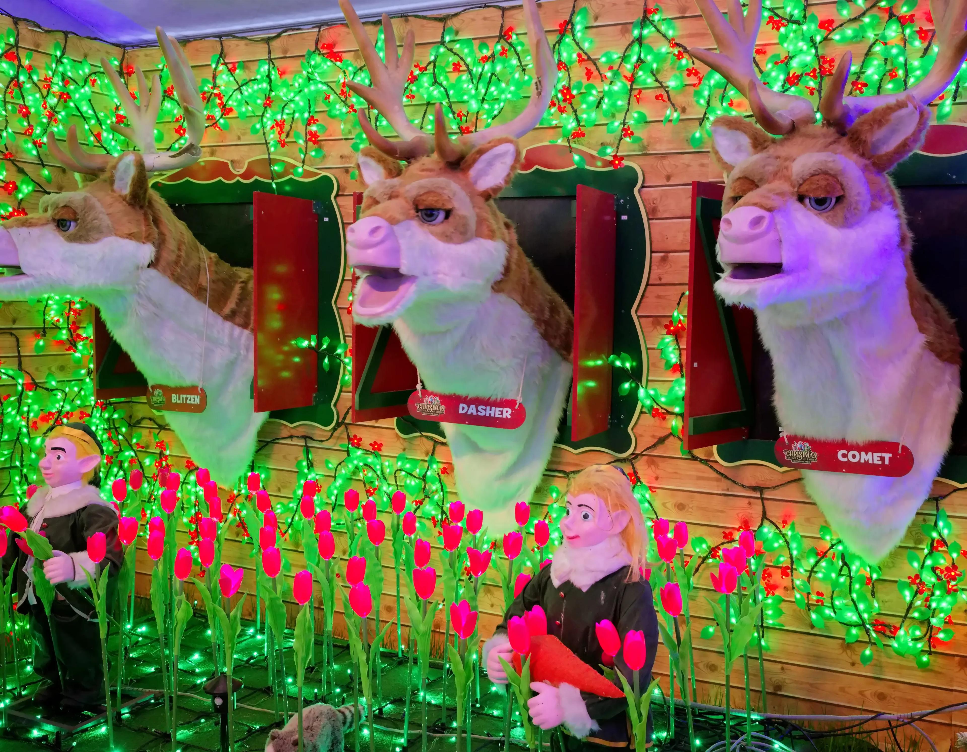 A magical Christmas wonderland awaits! background