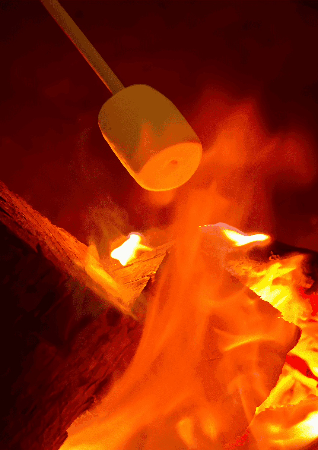 Marshmallow Roasting