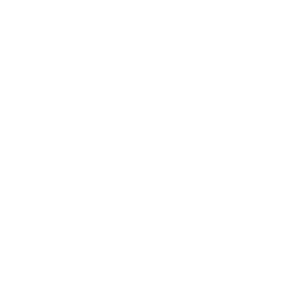 Ferris wheel text